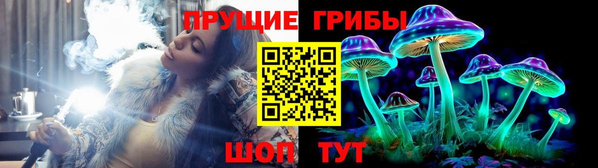 Галлюциногенные грибы прущие грибы Октябрьский